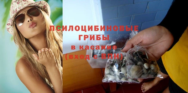 бошки Алексеевка
