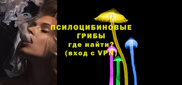 бошки Алексеевка