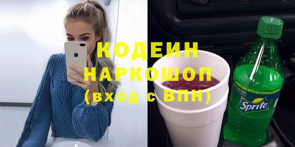 мет Алексин