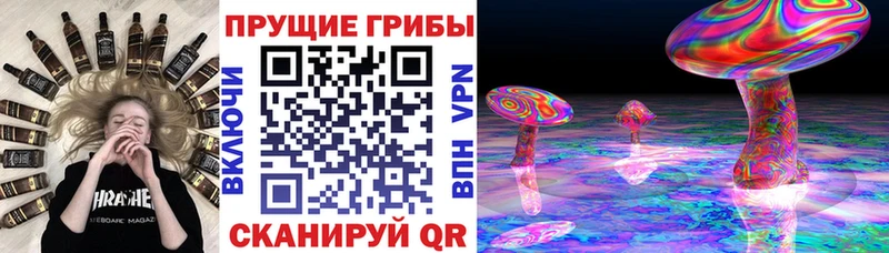 Псилоцибиновые грибы мухоморы  Андреаполь 
