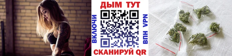 купить наркоту  Андреаполь  Канабис Ganja 